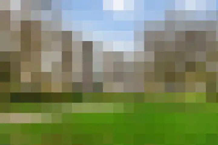 Plotinusstraat 31 Rotterdam thumbnail 10