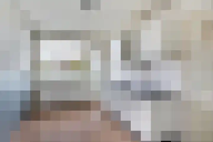 Plotinusstraat 31 Rotterdam thumbnail 4