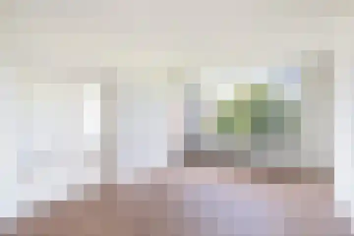 Plotinusstraat 63 Rotterdam foto 3