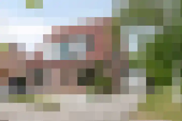 Pluimpot 14 in Hansweert