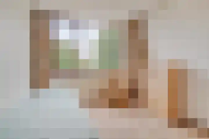 Pluimpot 14 Hansweert thumbnail 21