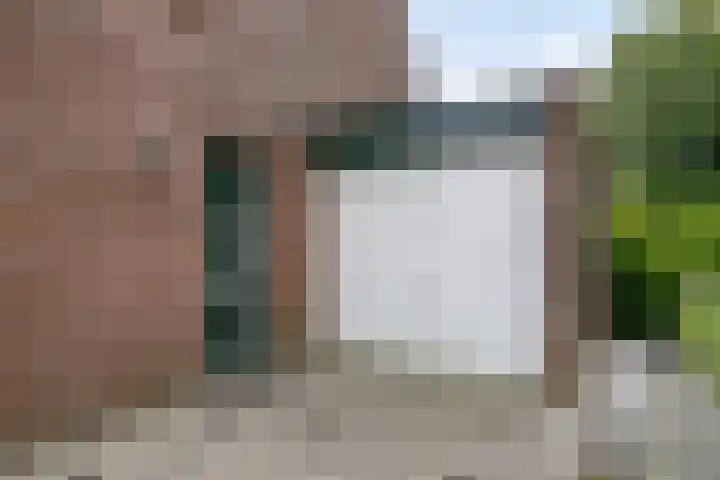 Pluimpot 14 Hansweert foto 3