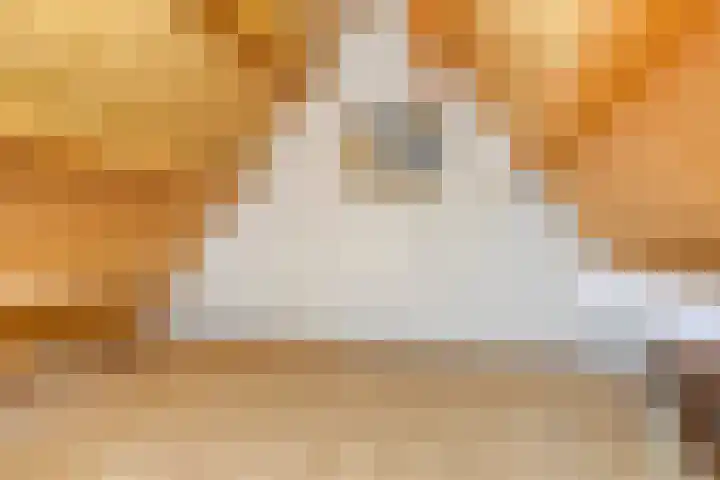 Pluimpot 14 Hansweert thumbnail 30