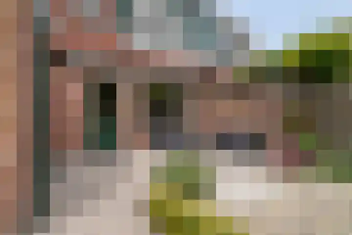 Pluimpot 14 Hansweert thumbnail 31