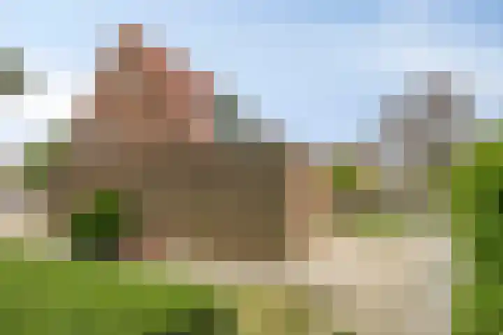 Pluimpot 14 Hansweert thumbnail 37