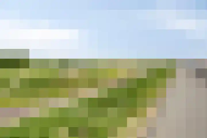 Pluimpot 14 Hansweert thumbnail 45