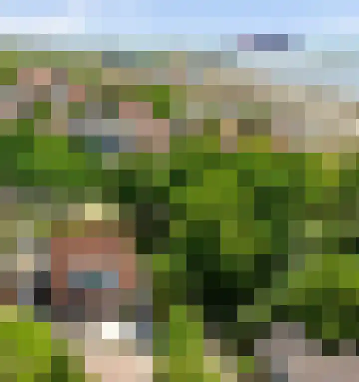 Pluimpot 14 Hansweert thumbnail 47