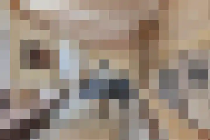 Pluimpot 14 Hansweert thumbnail 48