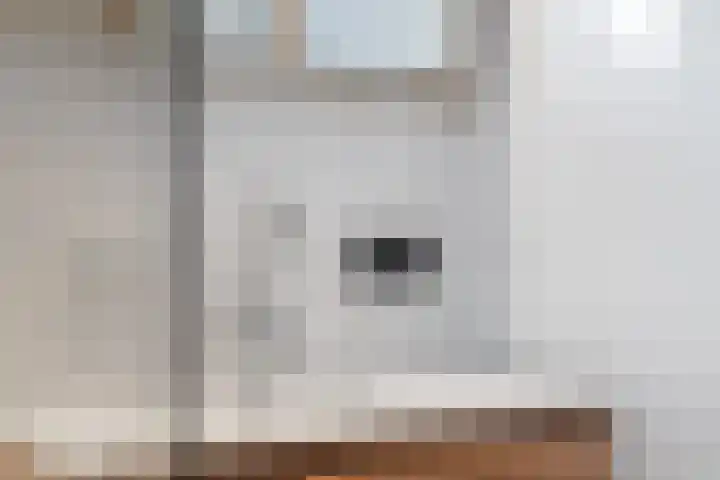Pluimpot 14 Hansweert thumbnail 51
