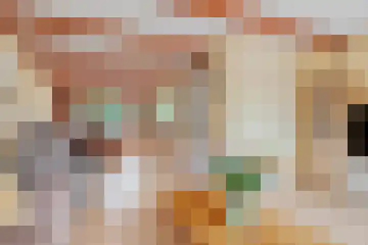 Pluimpot 14 Hansweert thumbnail 6