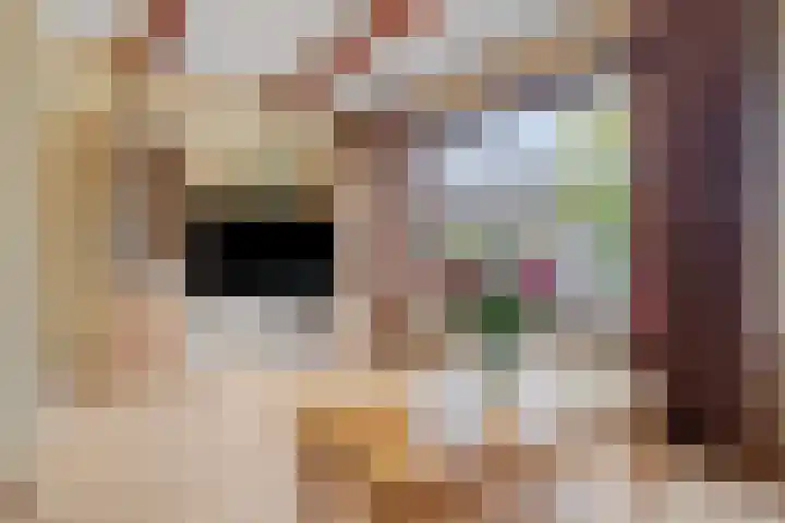 Pluimpot 14 Hansweert thumbnail 9