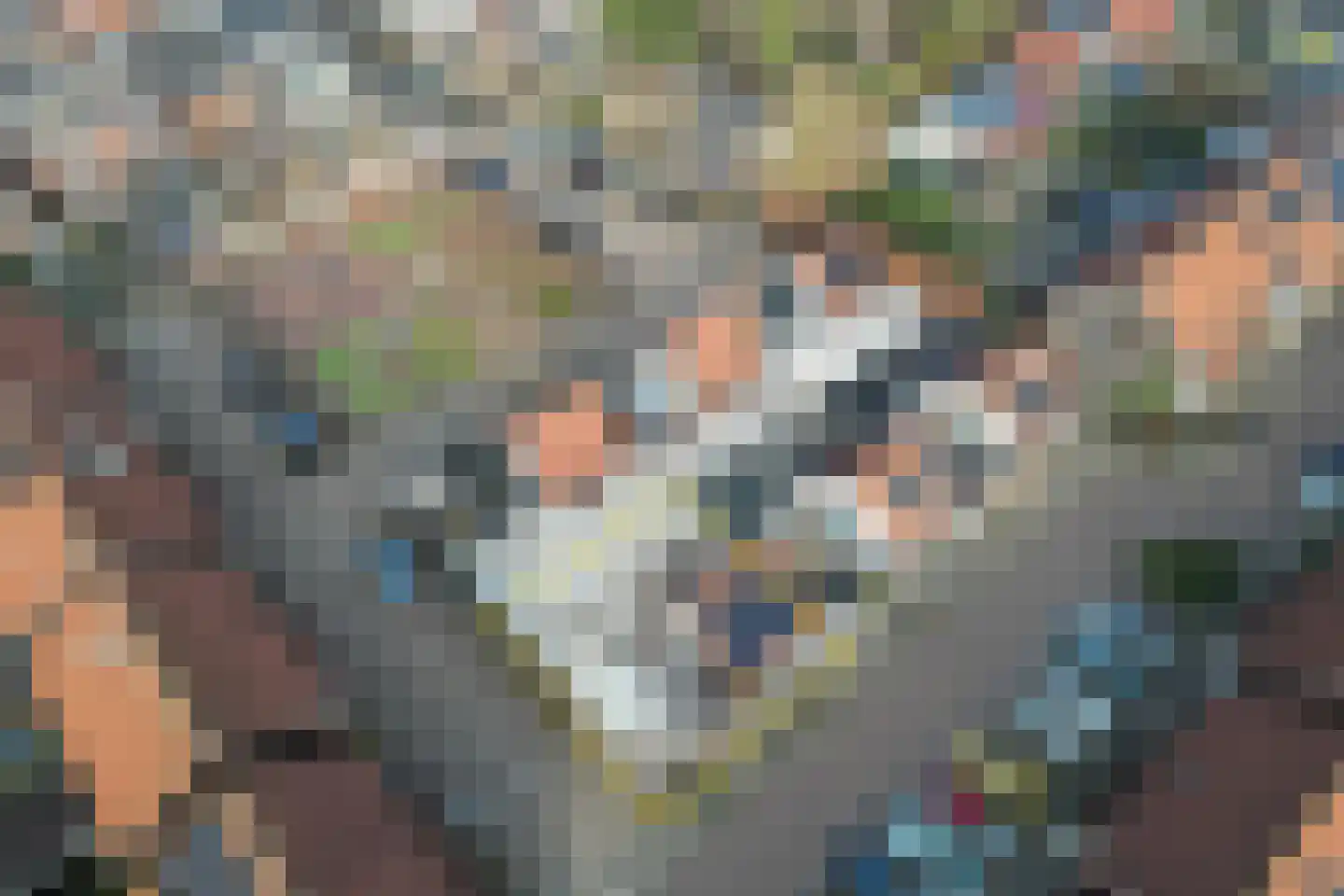 Pluimstraat 51 Enschede thumbnail 6