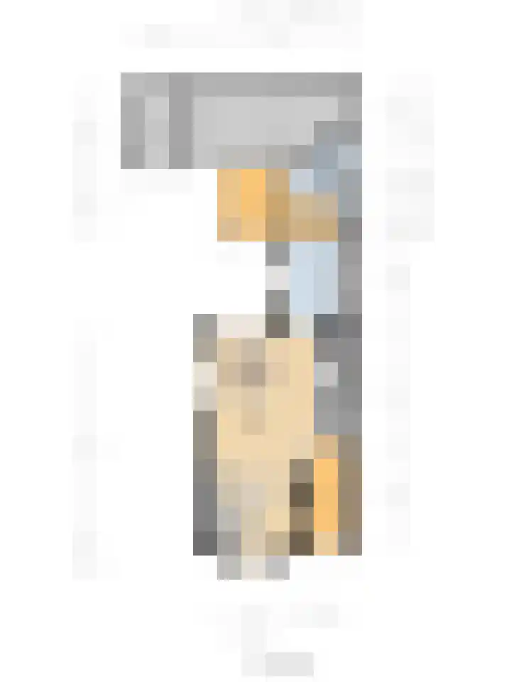 Pluimstraat 72 Enschede thumbnail 31