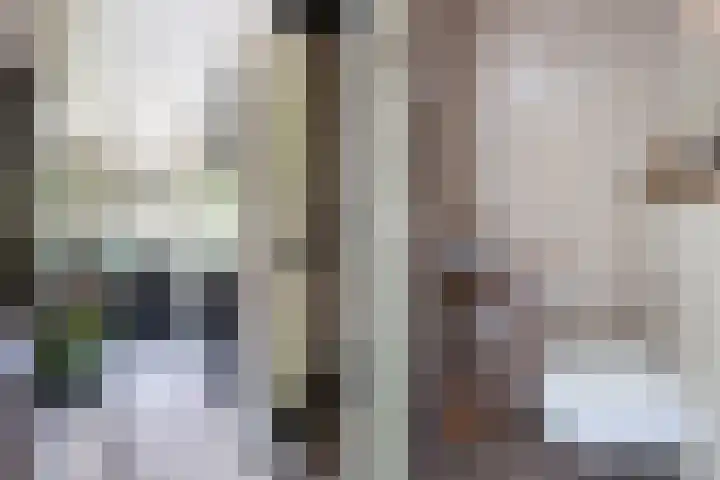 Pluis 26 Maassluis thumbnail 10