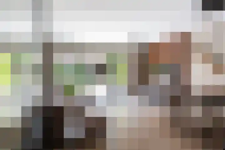 Pluis 26 Maassluis thumbnail 12