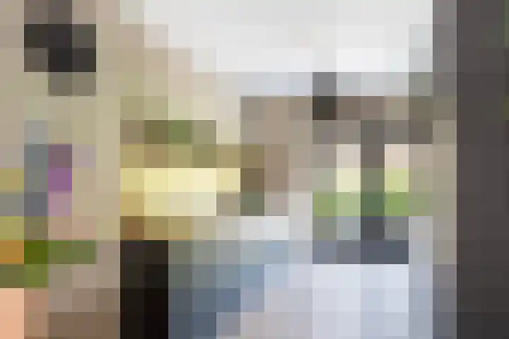 Pluis 26 Maassluis thumbnail 20