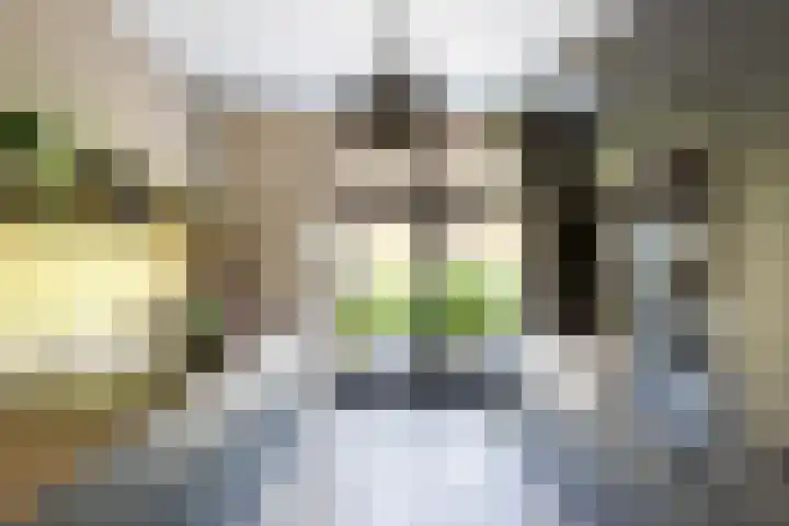 Pluis 26 Maassluis thumbnail 21