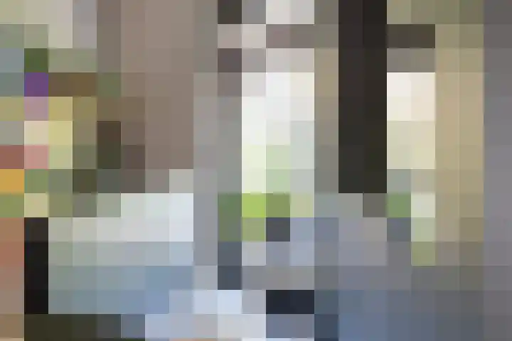 Pluis 26 Maassluis thumbnail 22