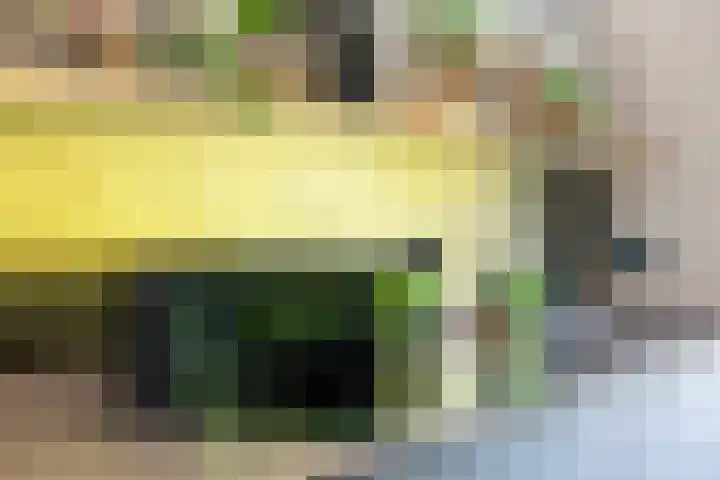 Pluis 26 Maassluis thumbnail 24