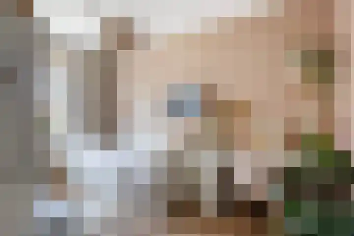 Pluis 26 Maassluis thumbnail 26