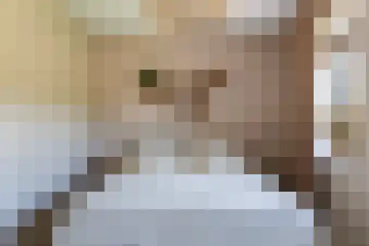 Pluis 26 Maassluis thumbnail 34