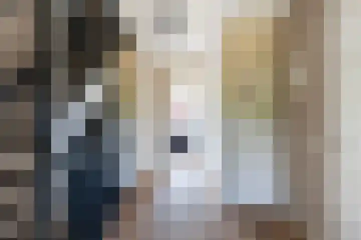 Pluis 26 Maassluis thumbnail 41