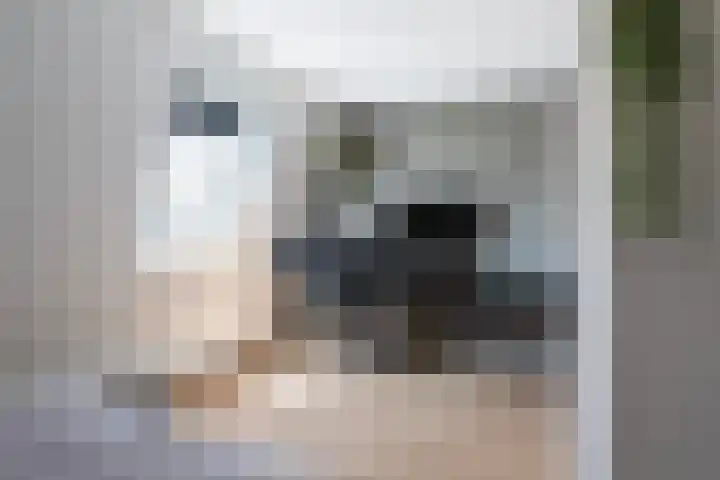 Pluis 26 Maassluis thumbnail 44
