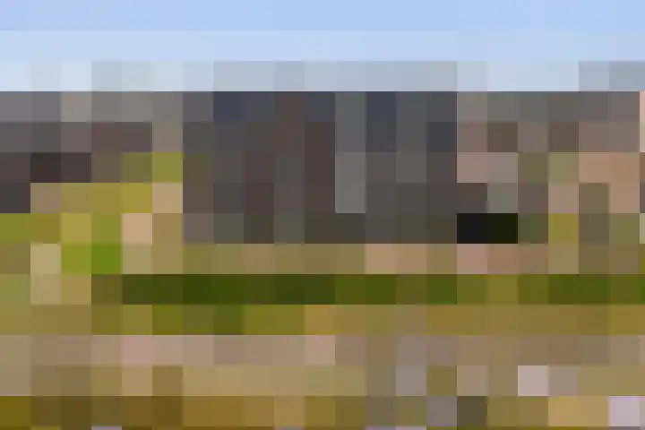 Pluis 26 Maassluis thumbnail 5