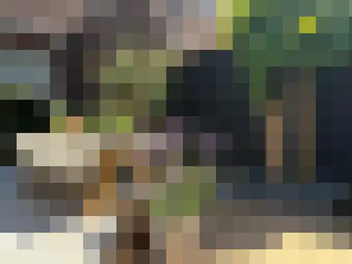 Pluis 26 Maassluis thumbnail 51