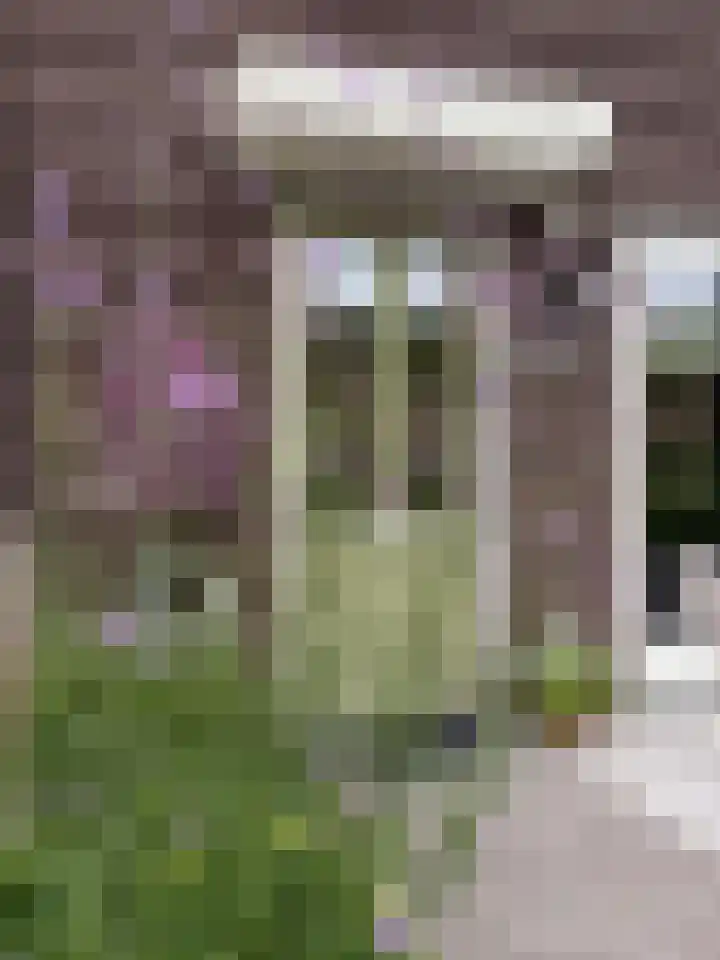 Pluis 26 Maassluis thumbnail 57
