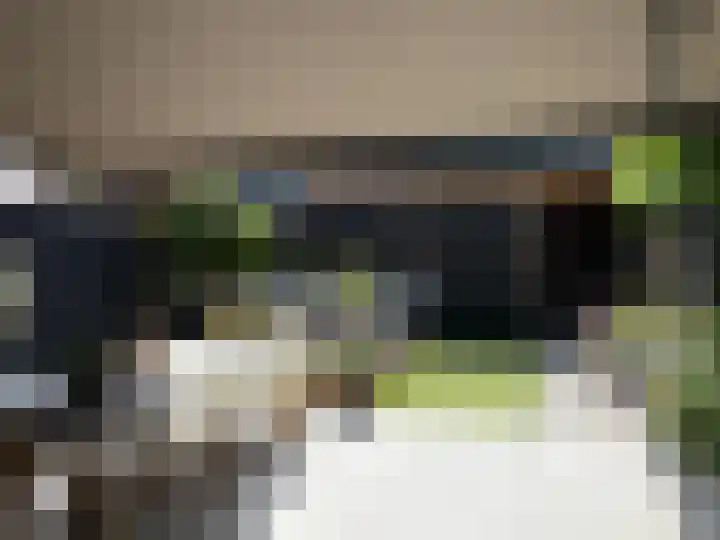 Pluis 26 Maassluis thumbnail 59