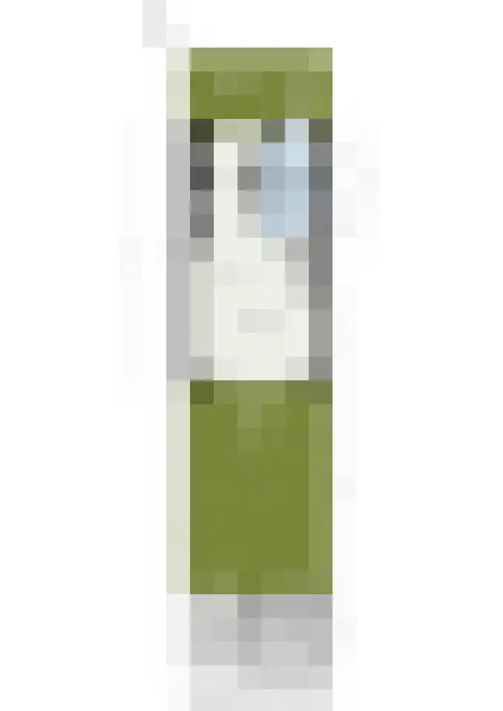 Pluis 26 Maassluis thumbnail 67