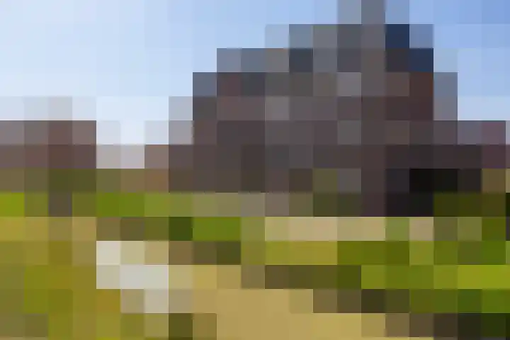 Pluis 26 Maassluis thumbnail 7