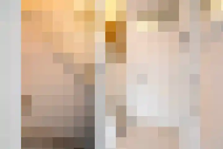 Pluto 162 Den Helder thumbnail 20