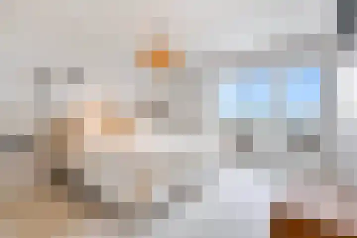 Pluto 162 Den Helder thumbnail 23