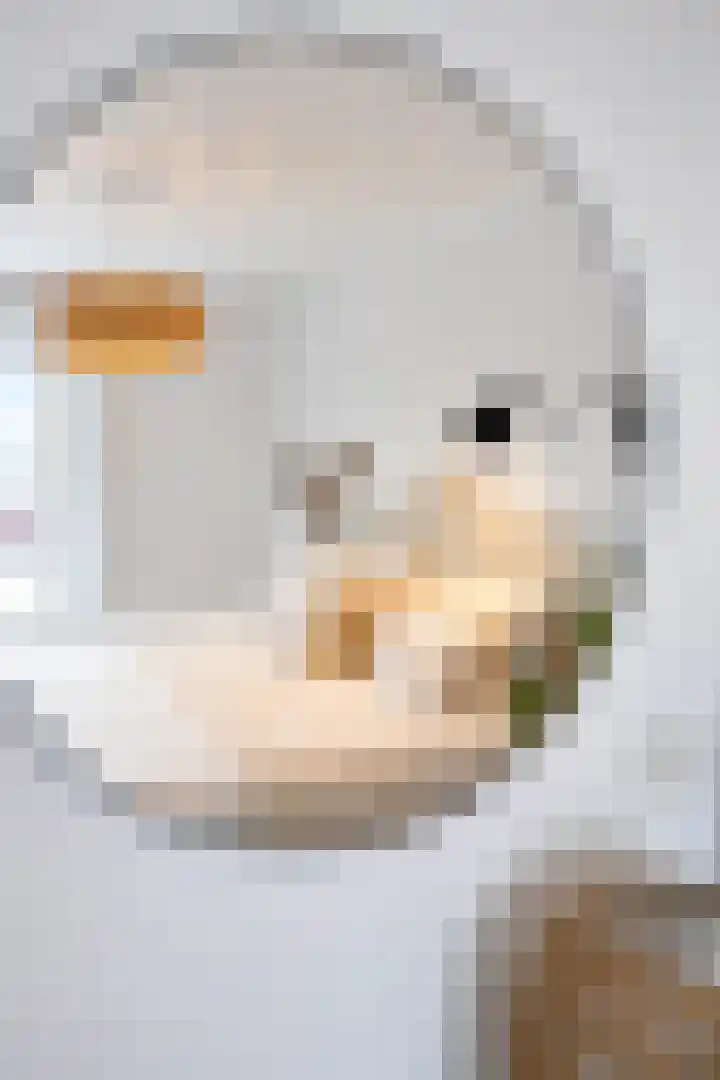 Pluto 162 Den Helder thumbnail 27
