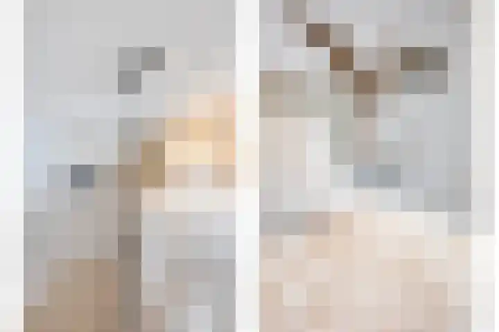 Pluto 162 Den Helder thumbnail 28