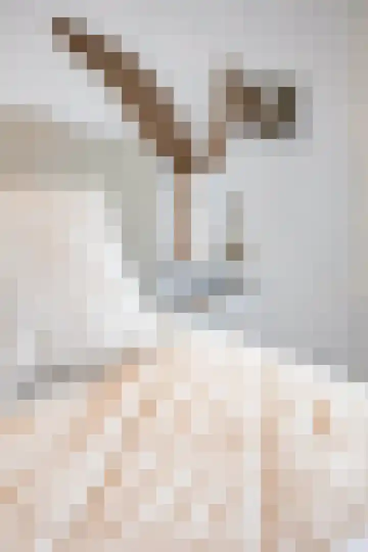 Pluto 162 Den Helder thumbnail 30