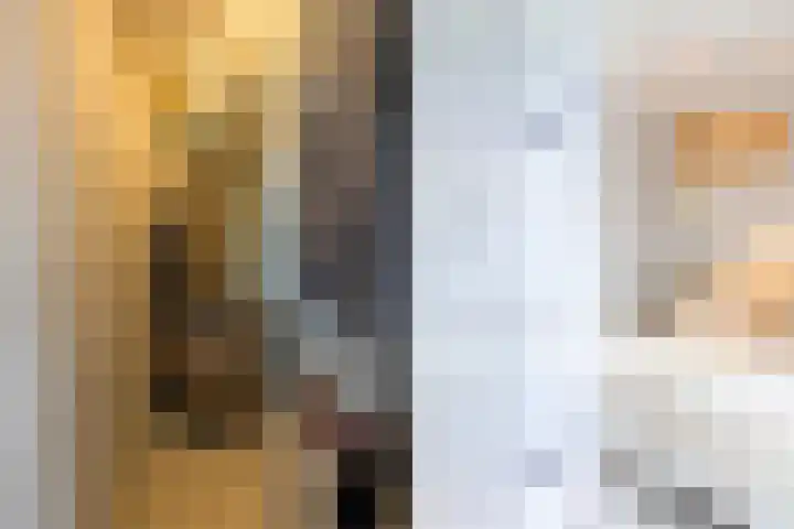 Pluto 162 Den Helder thumbnail 31