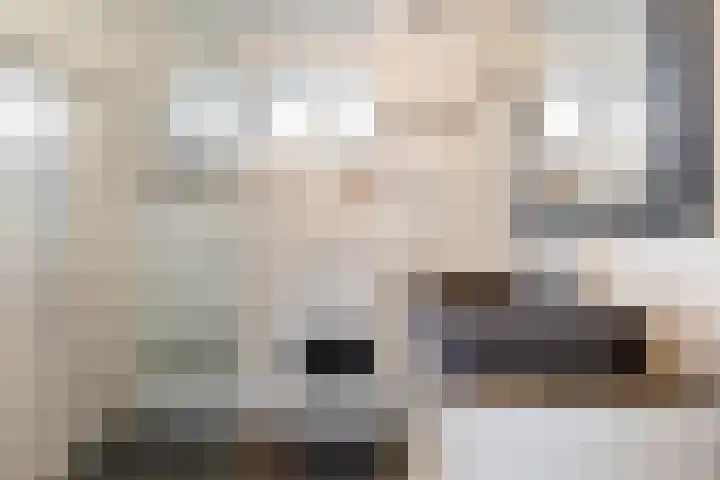 Pluto 162 Den Helder thumbnail 35