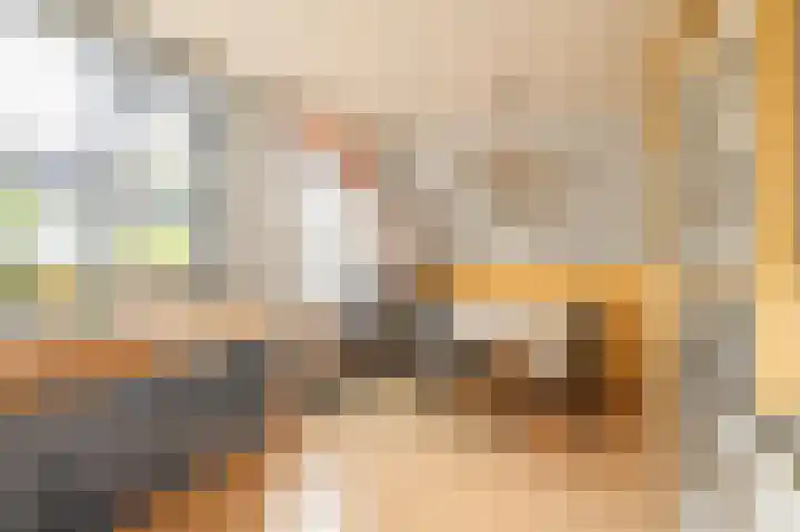 Pluto 3 Duiven thumbnail 11