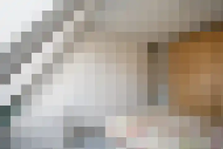 Pluto 3 Duiven thumbnail 15