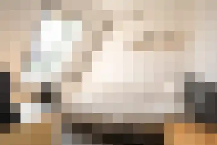 Pluto 3 Duiven thumbnail 18