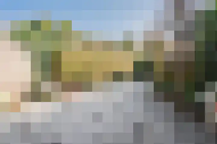 Pluto 3 Duiven thumbnail 23