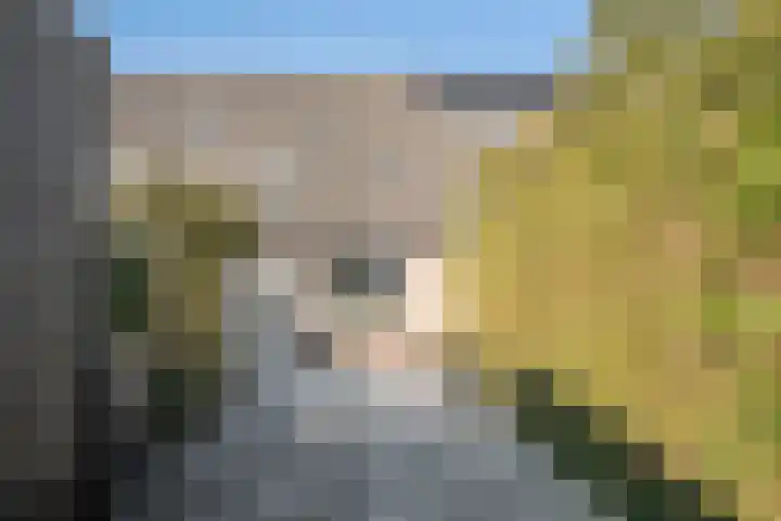 Pluto 3 Duiven thumbnail 25