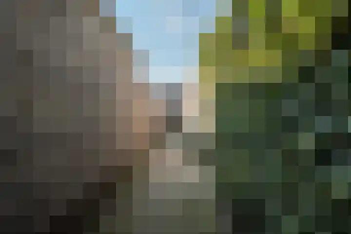 Pluto 3 Duiven thumbnail 26