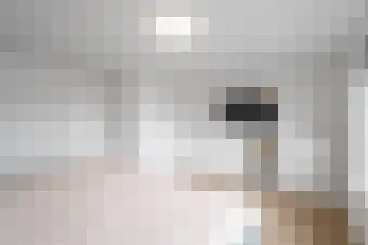 Pluto 31 Den Helder thumbnail 25