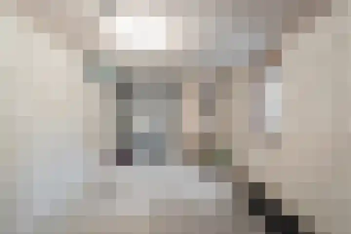 Pluto 31 Den Helder thumbnail 33