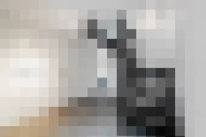 Pluto 31 Den Helder thumbnail 4