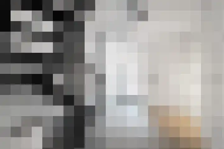 Pluto 31 Den Helder thumbnail 5